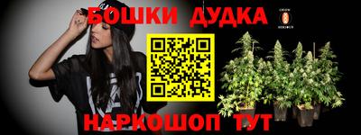 индика Мариинск
